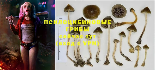 тгк Абинск