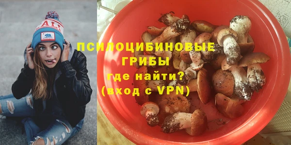 индика Алексеевка