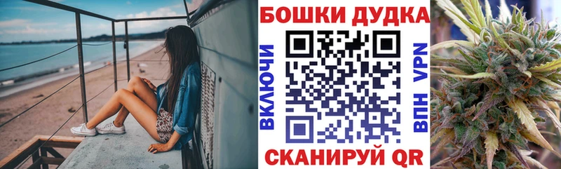 Бошки Шишки гибрид Злынка